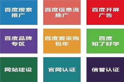 某企业通过SEM实现品牌与销售双增长的案例